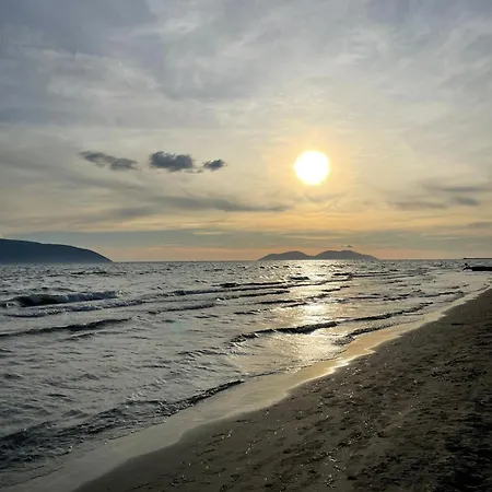 Al Mare